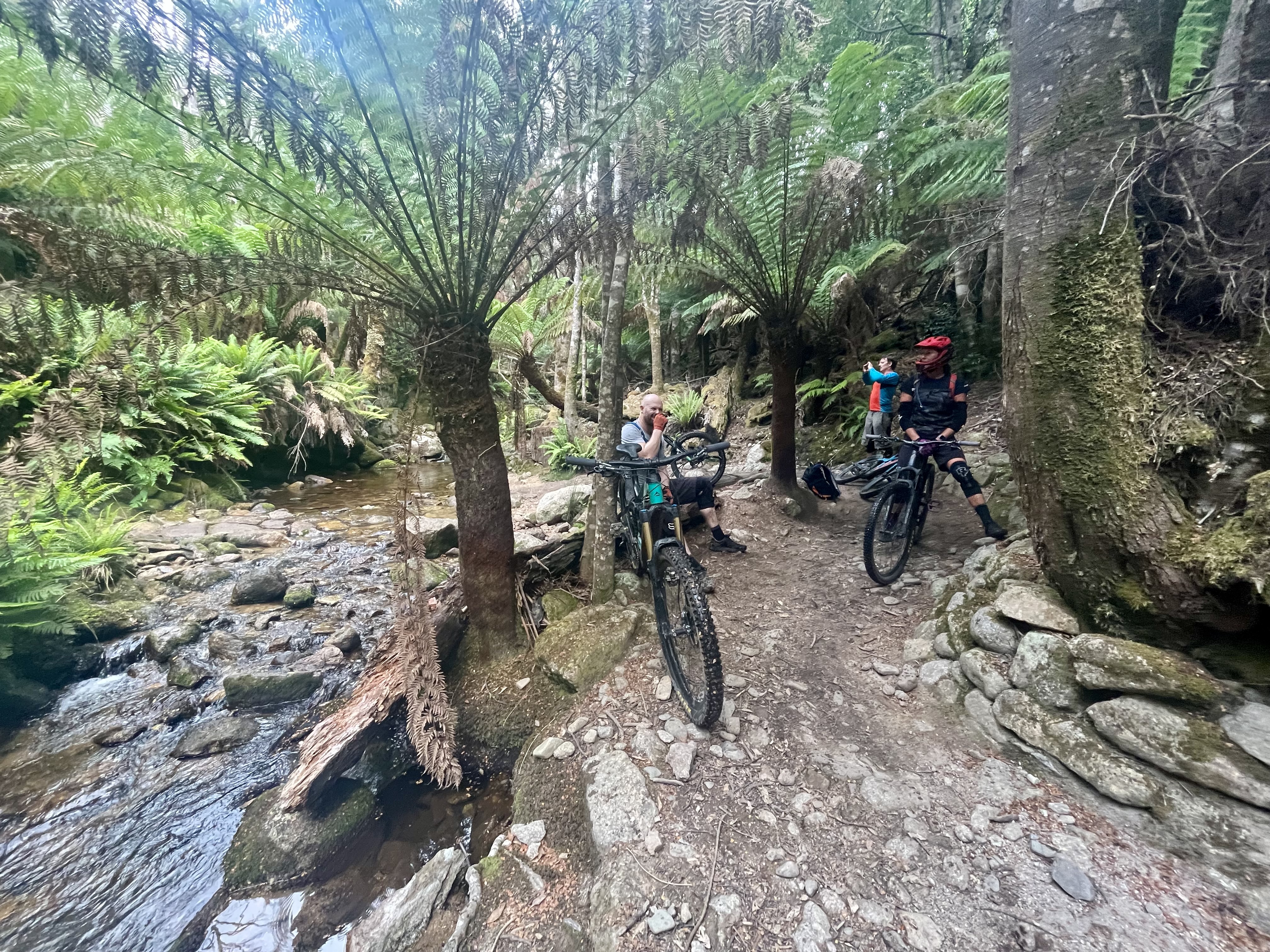 Mountain biking in Tasmania