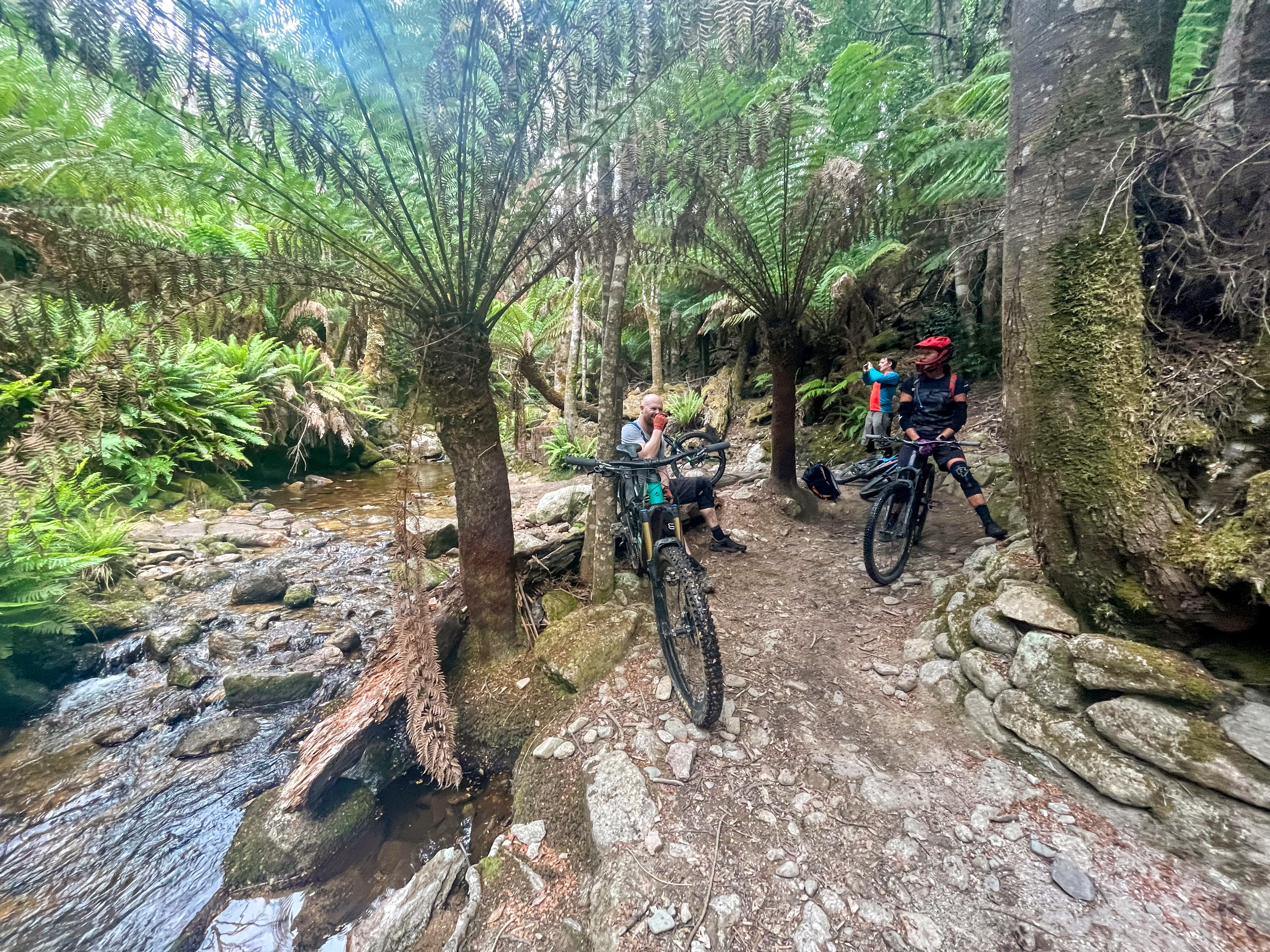 Mountain biking trail in Tasmania