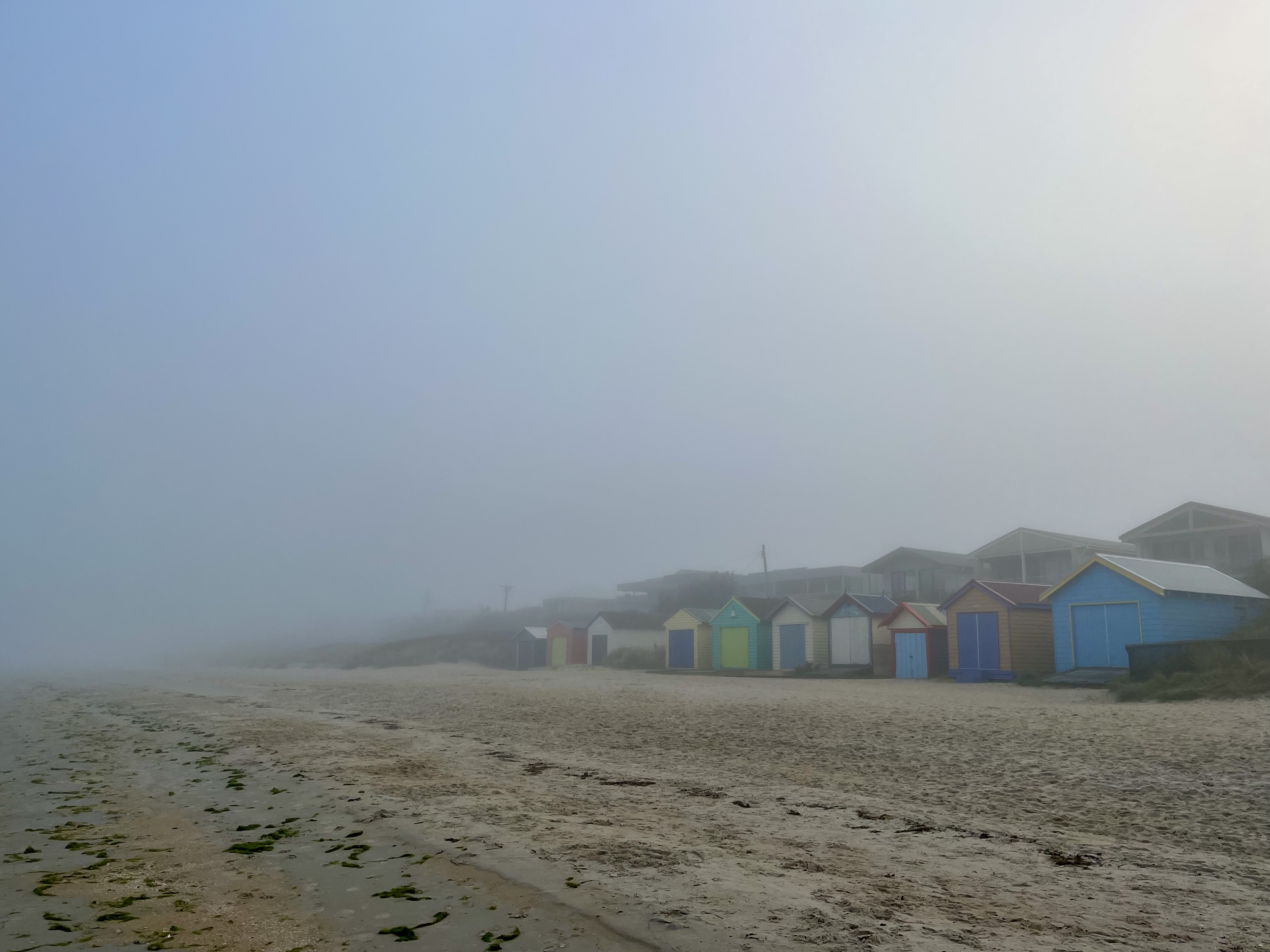 Morning walk scenery